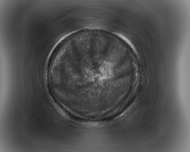 X0000085260976200703301829