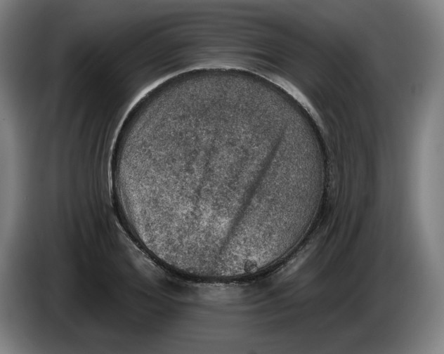 X0000085260980200703301829