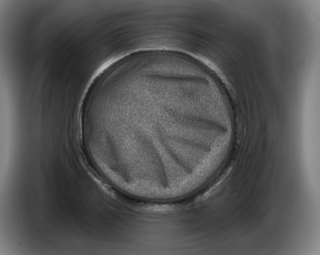 X0000085260982200703301829