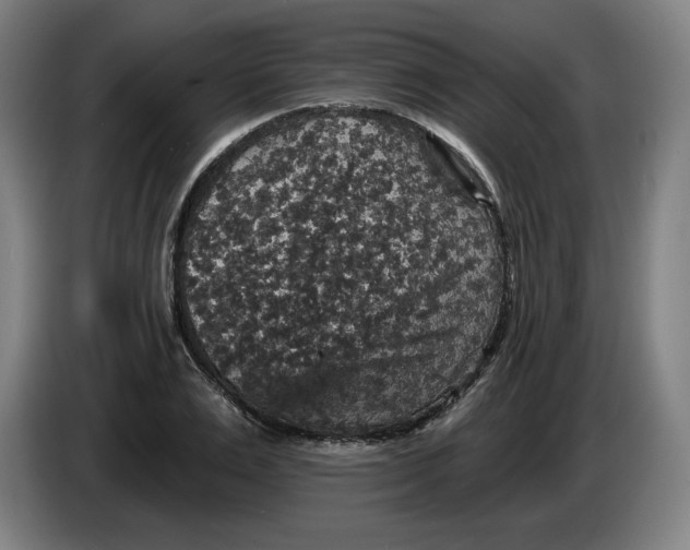 X0000085260983200703301829