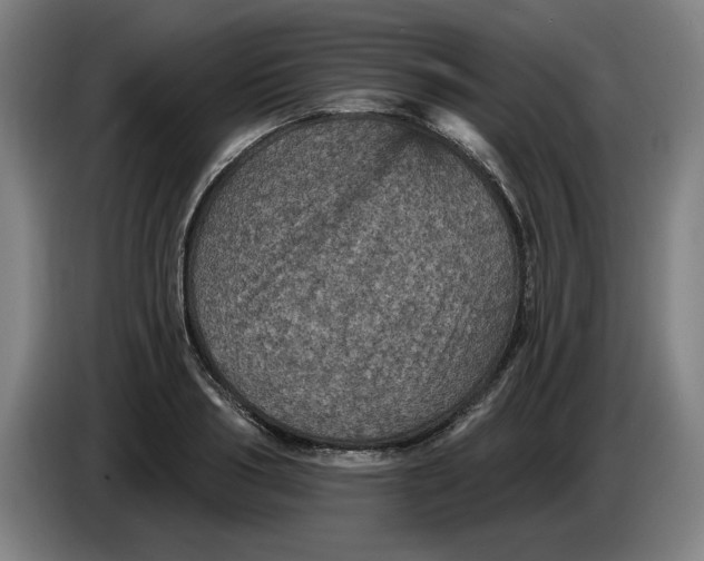 X0000085260986200703301829