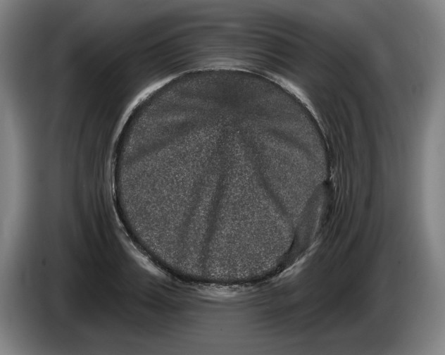 X0000085260987200703301829