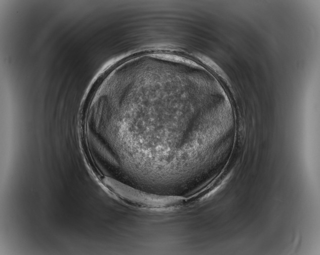 X0000085260989200703301829