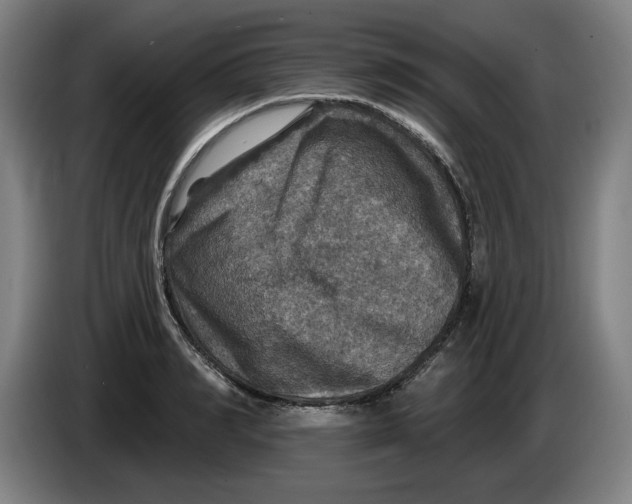 X0000085260990200703301829