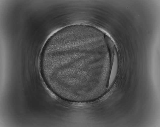 X0000085260991200703301829