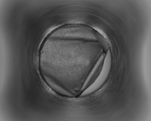 X0000085260992200703301829