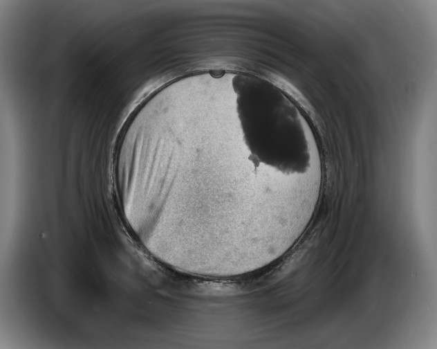 X0000085260994200703301829