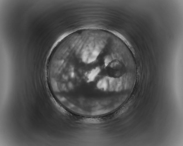 X0000085260998200703301828