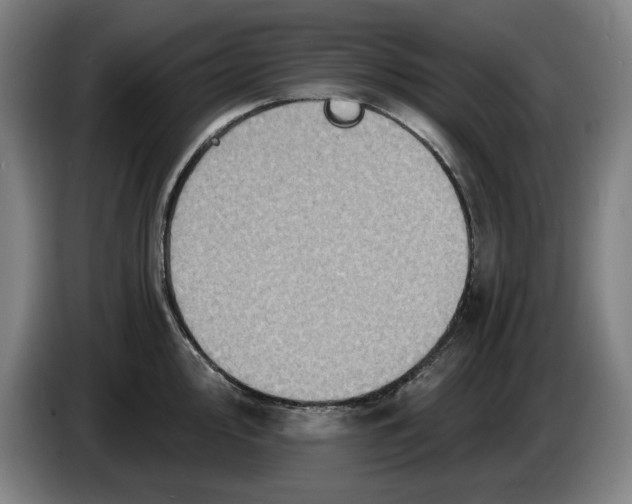 X0000085261000200703301828