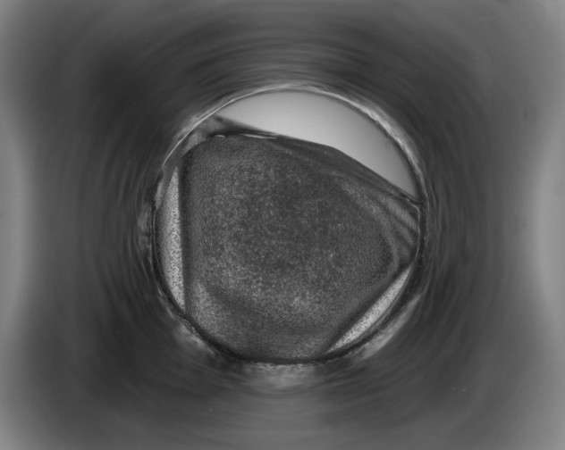 X0000085261001200703301828