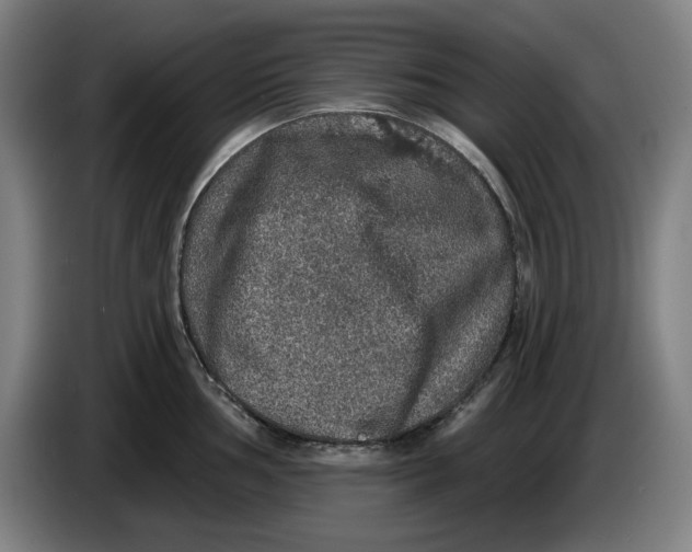 X0000085261002200703301828