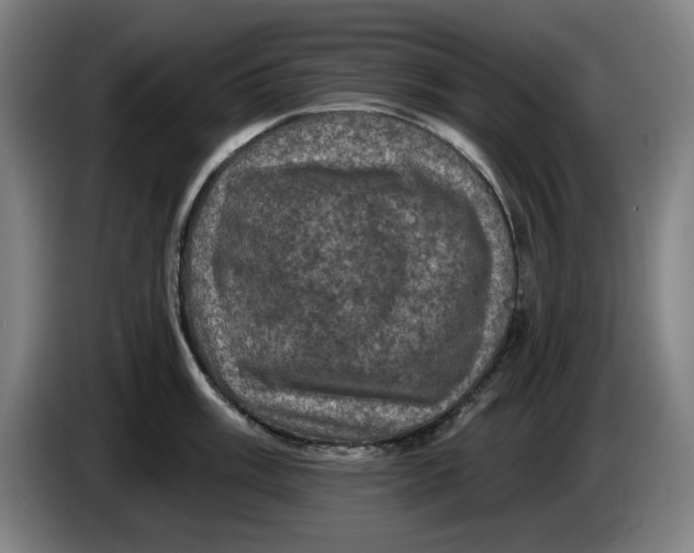 X0000085261003200703301828