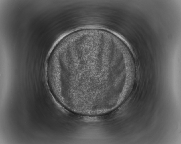 X0000085261006200703301828