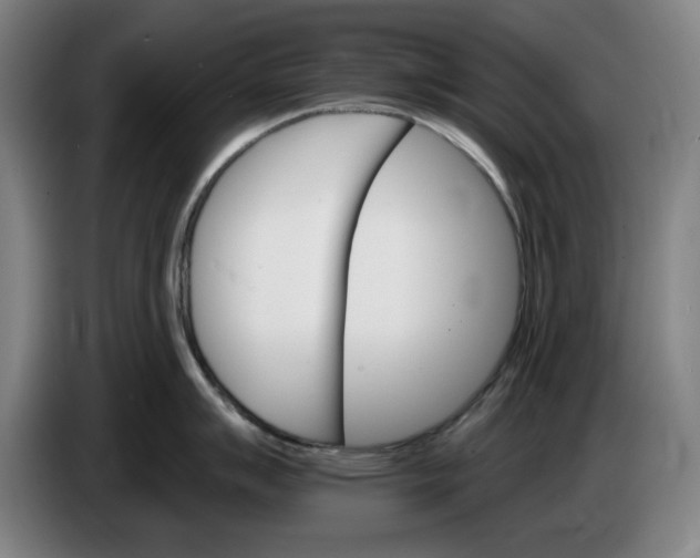 X0000085261007200703301828