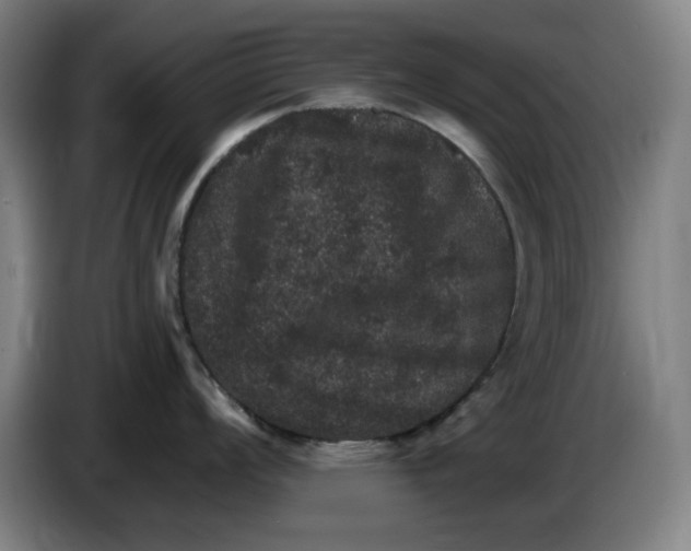 X0000085261008200703301828