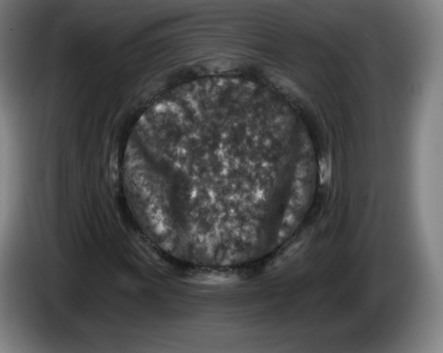 X0000085261011200703301828