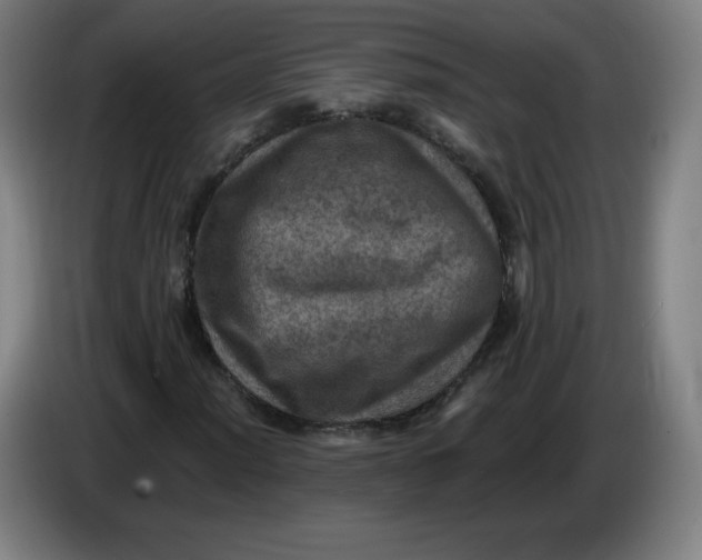 X0000085261012200703301828