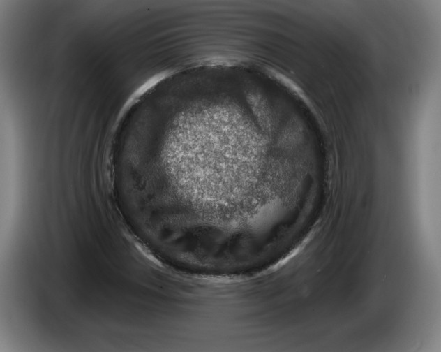 X0000085261018200703301828