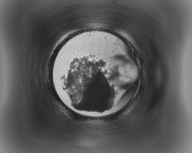 X0000085261023200703301828