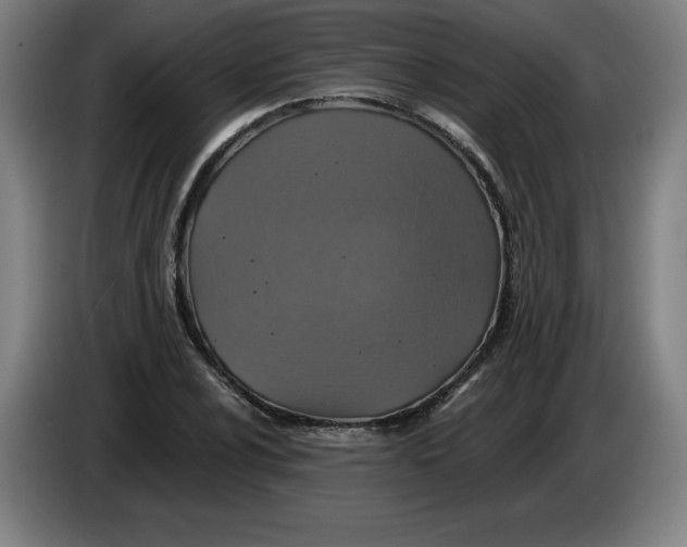 X0000085261024200703301828