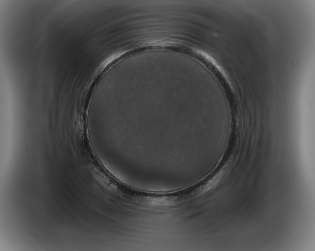 X0000085261025200703301828