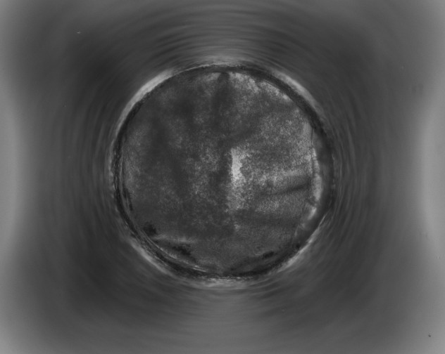 X0000085261026200703301828