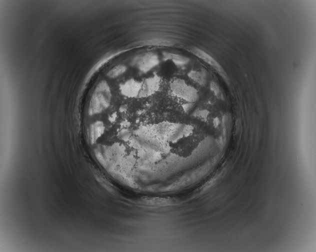 X0000085261027200703301828