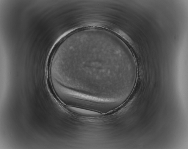 X0000085261028200703301828