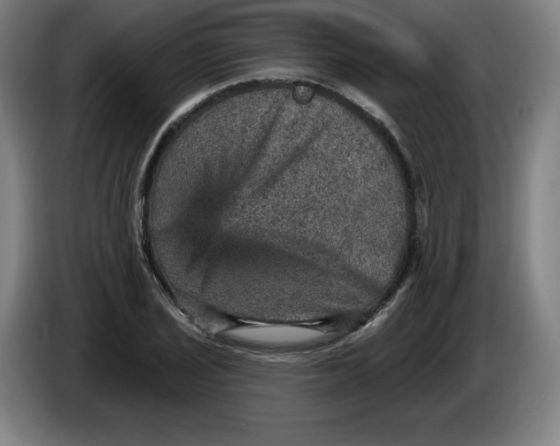 X0000085261029200703301828