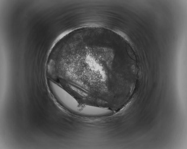 X0000085261030200703301828