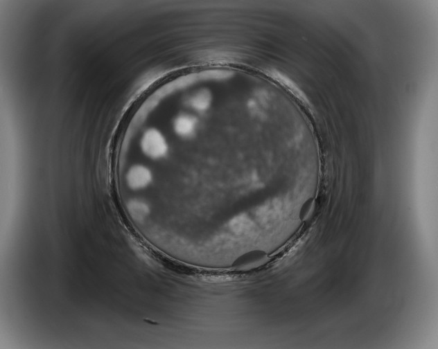 X0000085261031200703301828