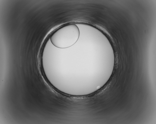 X0000085261032200703301828