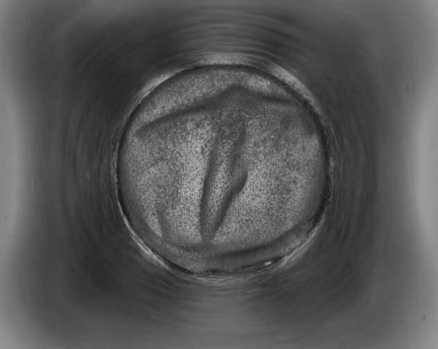 X0000085261033200703301828