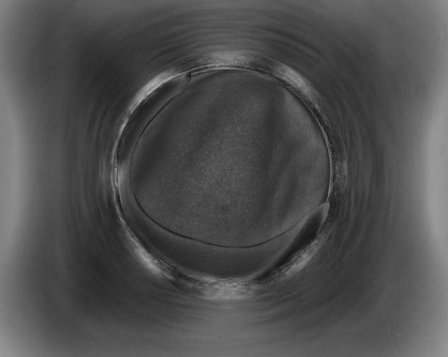 X0000085261034200703301828