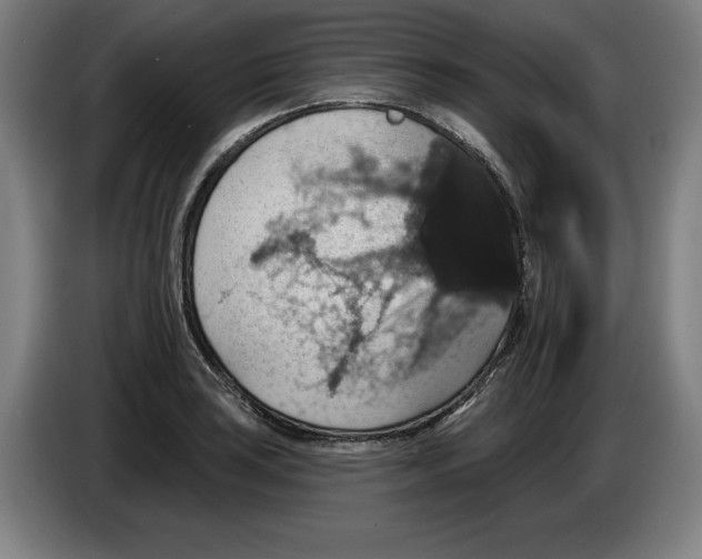 X0000085261035200703301828