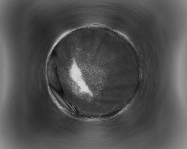 X0000085261038200703301828