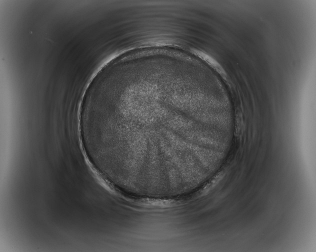 X0000085261039200703301828