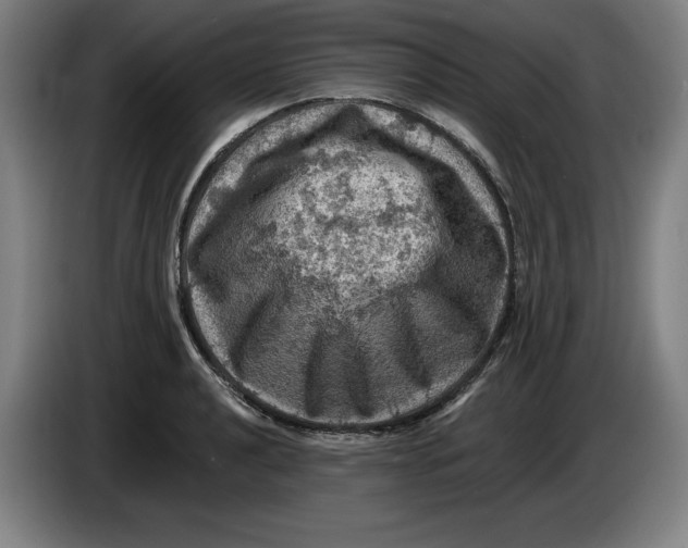 X0000085261040200703301828