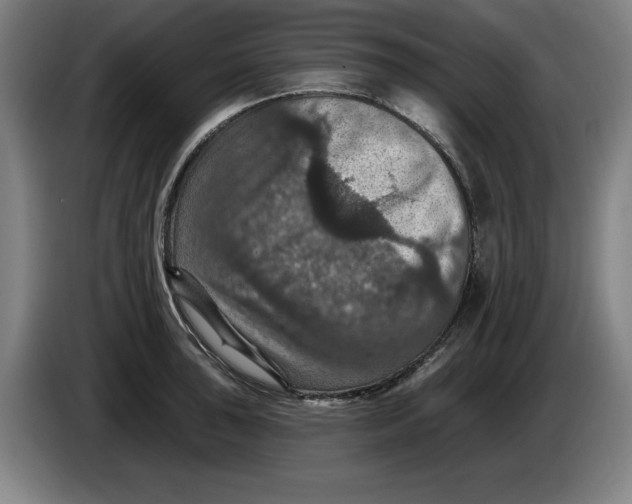 X0000085261043200703301828