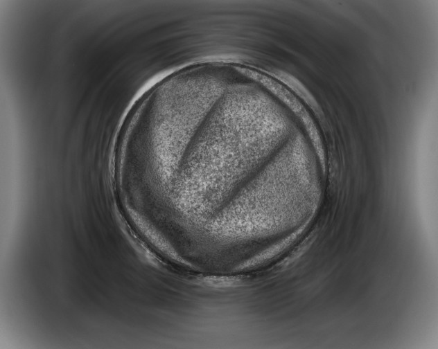 X0000085261044200703301828