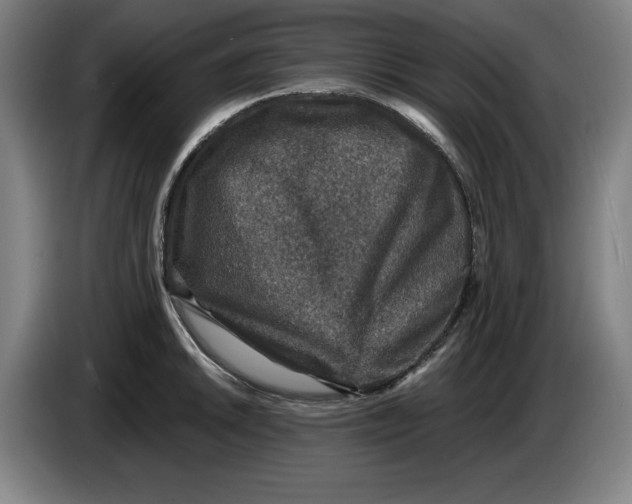 X0000085261046200703301828