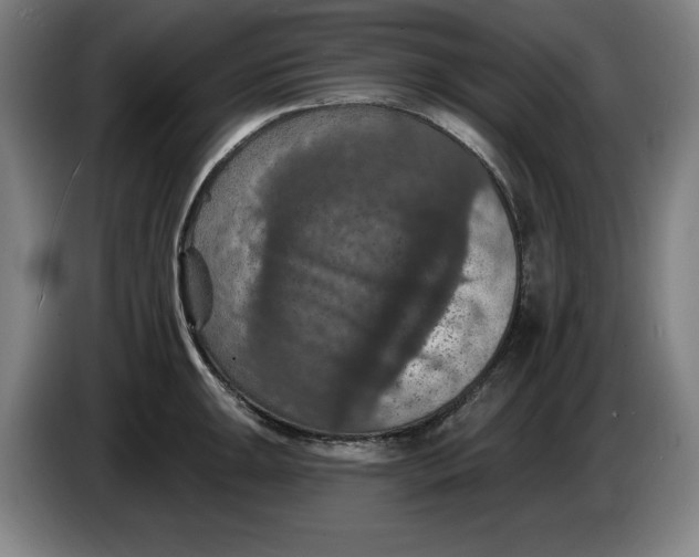 X0000085261047200703301828