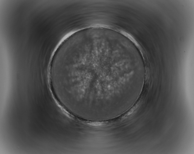 X0000085261048200703301828