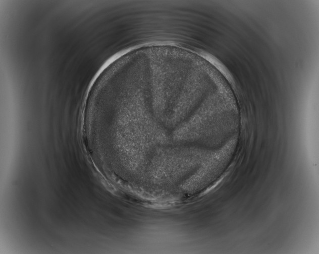 X0000085261052200703301828