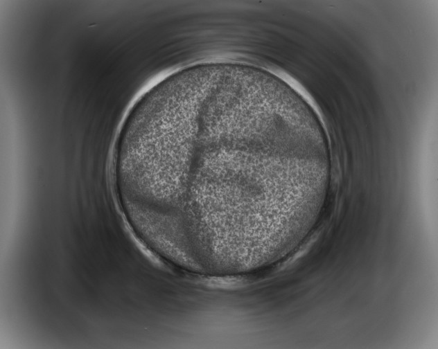 X0000085261053200703301828