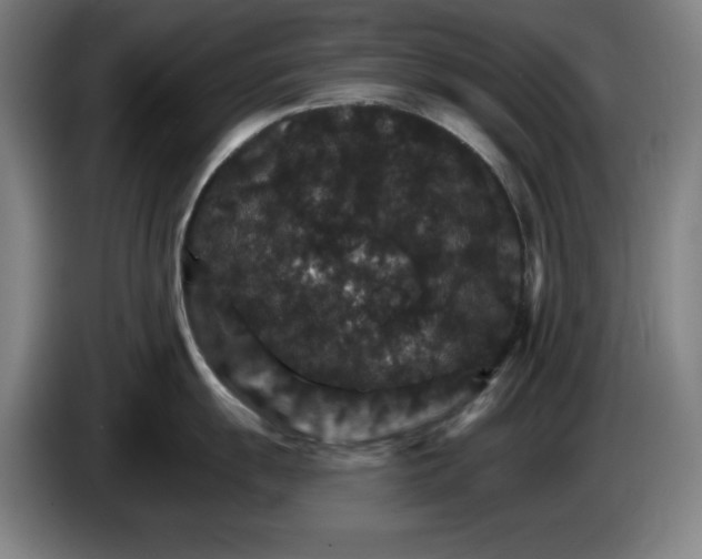 X0000085261055200703301828