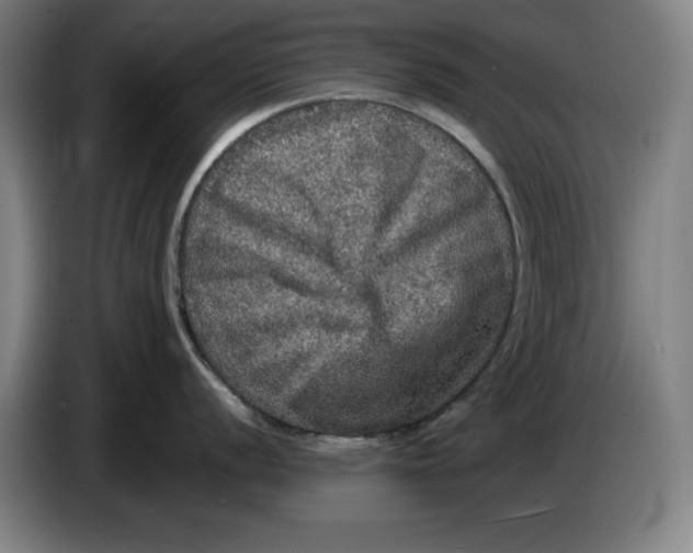 X0000085261056200703301828