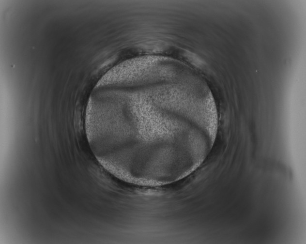 X0000085261058200703301828