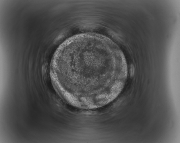 X0000085261059200703301828