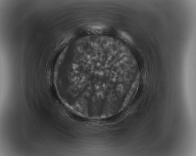 X0000085261060200703301828